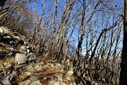 Alla CROCE del MONTE CASTELLO (1425 m) da Valpiana di Serina il 31 dicembre 2018 - FOTOGALLERY